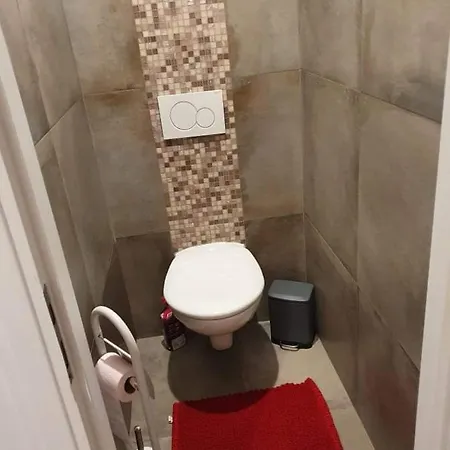 Hyper Centre . Terrasse Vue Mont Blanc . Parking Apartman Chamonix